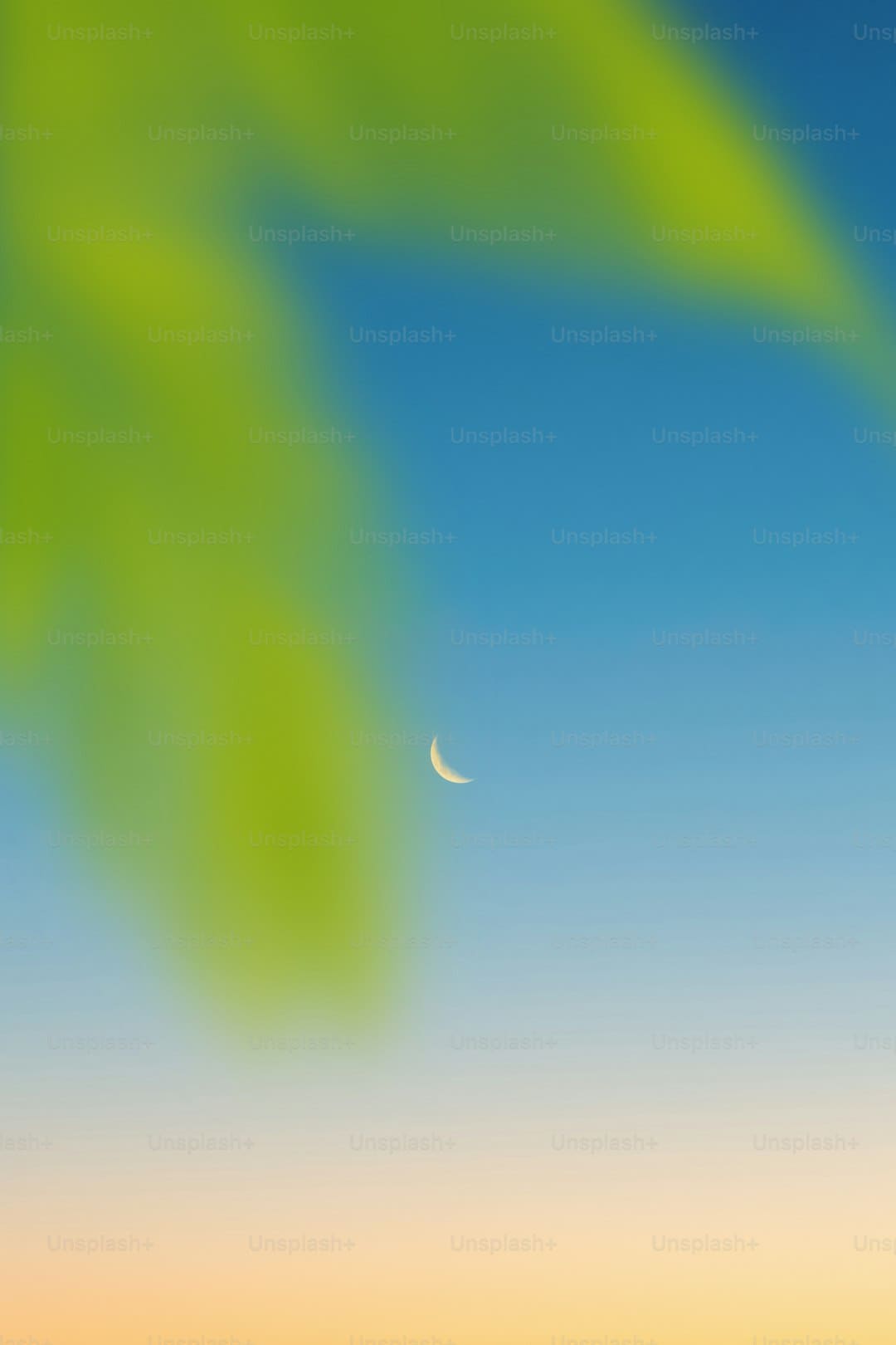 http://n.sinaimg.cn/news/transform/w600h400/20180311/p0QE-fxpwyhw8986838.jpg?zdy